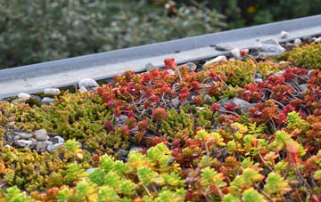 the cost of Holbeach Hurn green roof installation