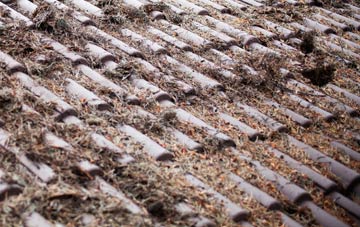 Holbeach Hurn roof cleaning companies