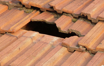 roof repair Holbeach Hurn, Lincolnshire